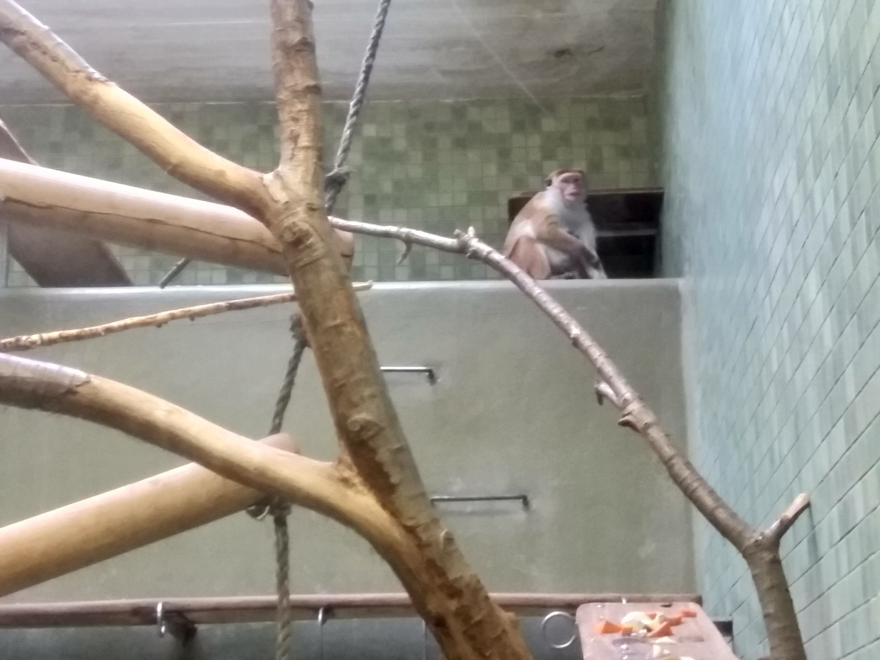 Sint-Martinus den XIIde - Winterkamp VK Berlijn